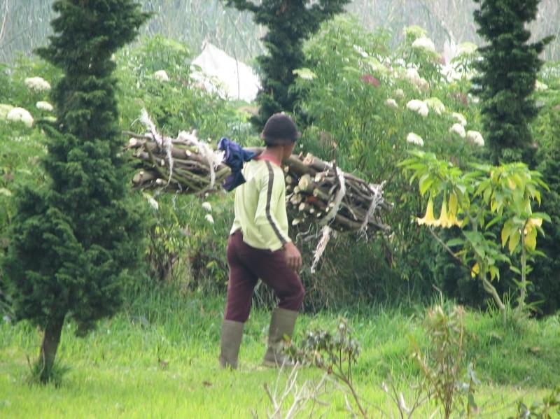 2007 07 12 BALI 0078.jpg